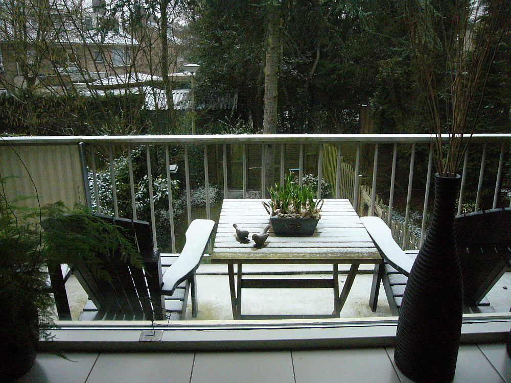 de%20eerste%20sneeuw.jpg
